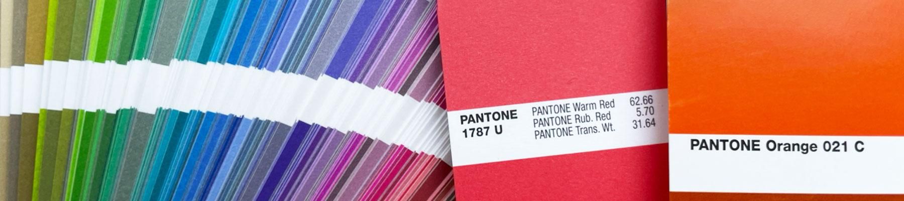PANTONE Formula Guide鿧ǥåץ졼