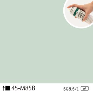 åץ졼45-M85B 5G8.5/1