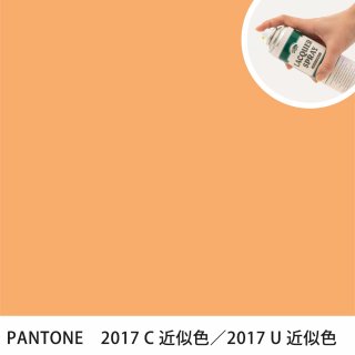 åץ졼 PANTONE 2017C PANTONE 2017U 