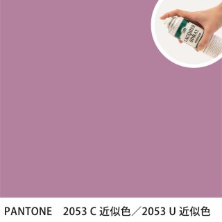 åץ졼 PANTONE 2053C PANTONE 2053U 