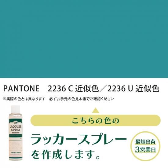 ラッカースプレー作成 PANTONE 2236C 近似色／PANTONE 2236U