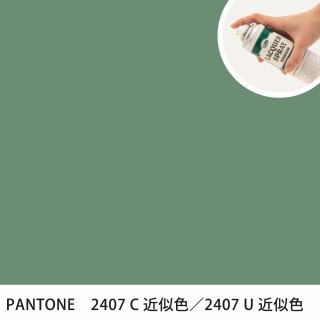 åץ졼 PANTONE 2407C PANTONE 2407U 