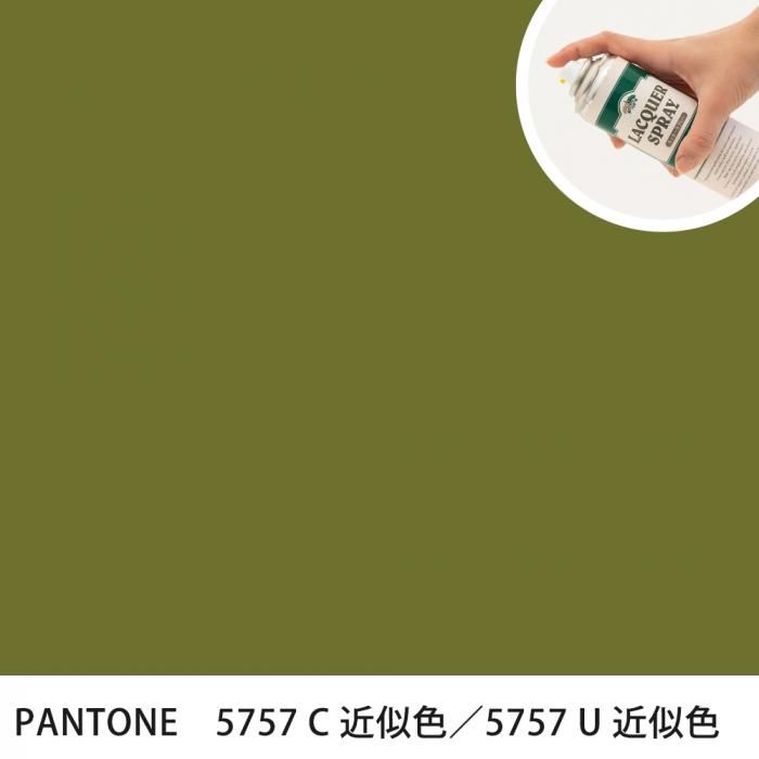 ��å������ץ졼���� PANTONE 5757C �������PANTONE 5757U �����