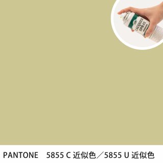 åץ졼 PANTONE 5855C PANTONE 5855U 