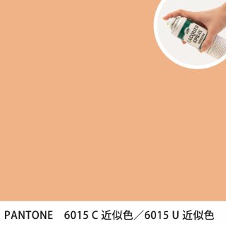 åץ졼 PANTONE 6015C PANTONE 6015U 