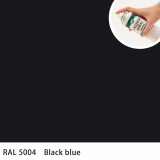 åץ졼 RAL5004