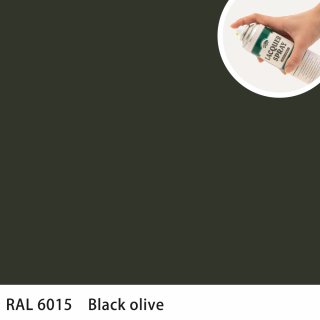 åץ졼 RAL6015