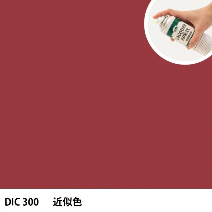 åץ졼 DIC 300 