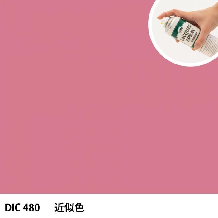 åץ졼 DIC 480 