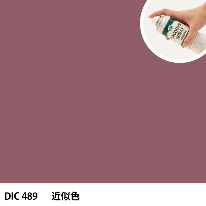 åץ졼 DIC 489 