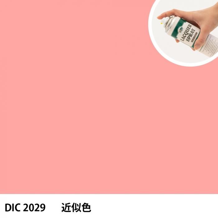 åץ졼 DIC 2029 