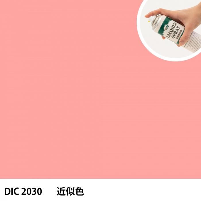 åץ졼 DIC 2030 