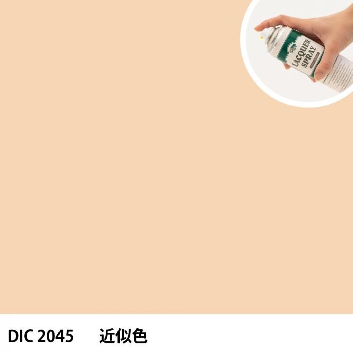 åץ졼 DIC 2045 