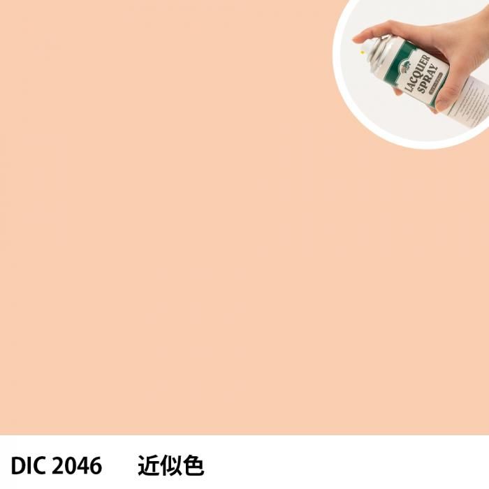 åץ졼 DIC 2046 