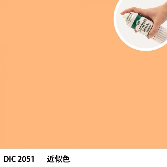 åץ졼 DIC 2051 