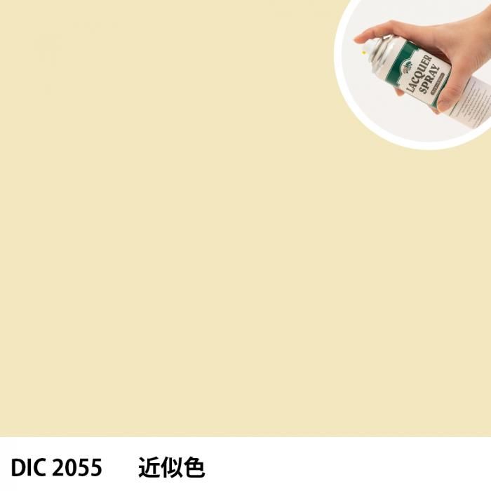 åץ졼 DIC 2055 