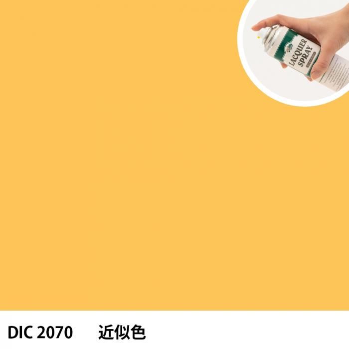 åץ졼 DIC 2070 