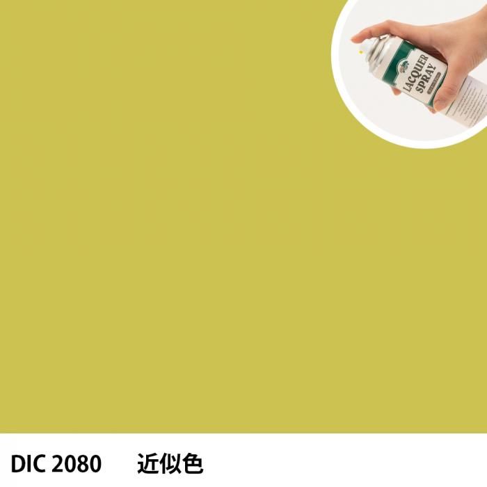 åץ졼 DIC 2080 