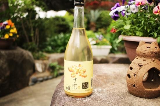 子宝 ドライジンジャー 720ml 楯の川酒造 - 古松商店
