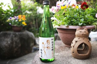 東洋美人　限定純米吟醸　西都の雫720ml　澄川酒造場 の商品画像