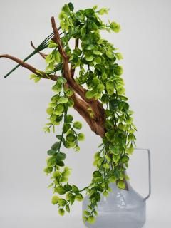 カメレオン付き青緑色装飾ボックス パンサーカメレオンのケージ装飾に