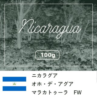 ニカラグア オホ・デ・アグア マラカトゥーラ フリーウォッシュト【100g】