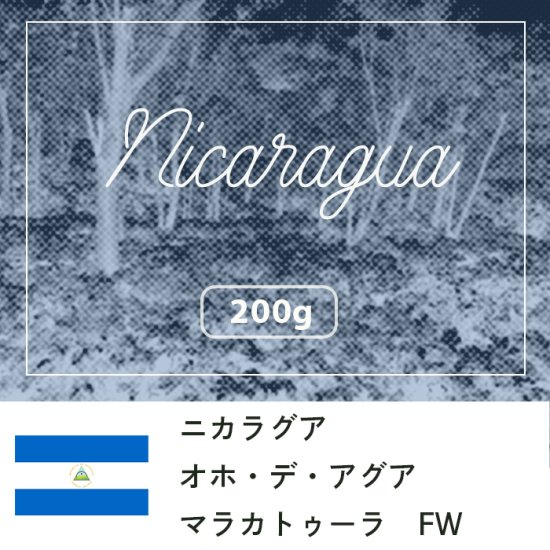 ニカラグア オホ・デ・アグア | マラカトゥーラ フリーウォッシュト - らっこや珈琲焙煎所 ONLINE