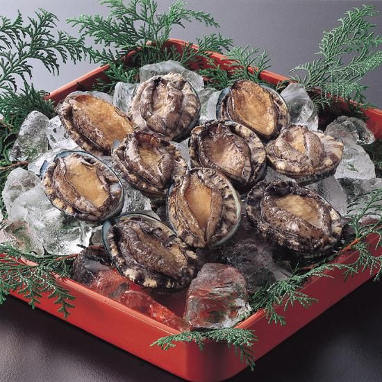 入善漁業協同組合の入善深層水あわび - 黒部藩 特産問屋