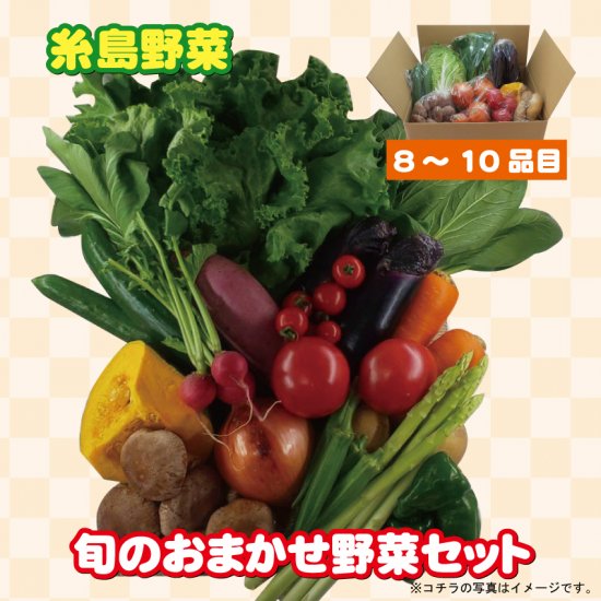 糸島 新鮮産直 野菜 おまかせセット ８品～１０品 - ひまわりマーケット