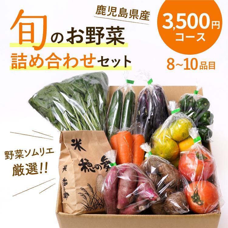 野菜ソムリエ厳選！鹿児島・大隅の野菜詰め合わせセット（8〜10品目）　3,500円コース【関東・東北までは、送料無料】