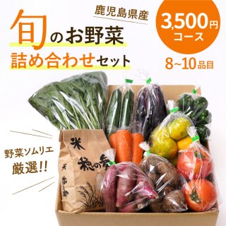 野菜詰め合わせセット | 鹿児島の旬の野菜・果物産直通販 垂水大同青果