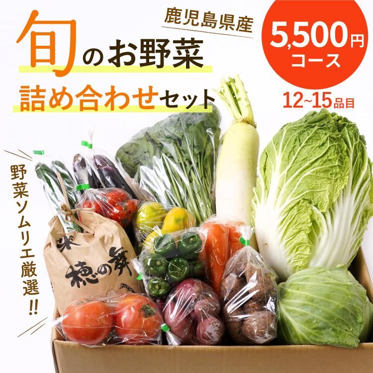 野菜ソムリエ厳選！鹿児島・大隅の野菜詰め合わせセット（12〜15品目）　5,500円コース【関東・東北までは、送料無料】