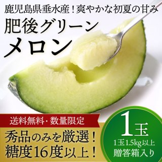 肥後グリーンメロン 秀品 1.5Kg以上 1玉 贈答箱入り【予約販売】【関東・東北までは、送料無料】