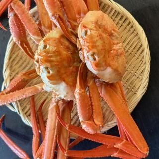 ̫ȥ磻ˡˣ ڥܥ