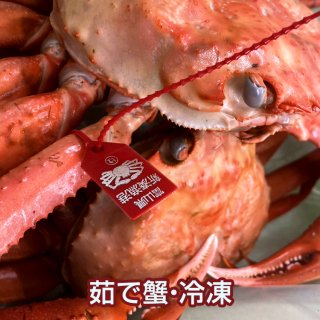 新湊産　紅ズワイガニ　赤タグ付き（大）２杯 【茹で蟹・冷凍】