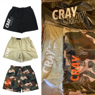 AE Skater Shorts