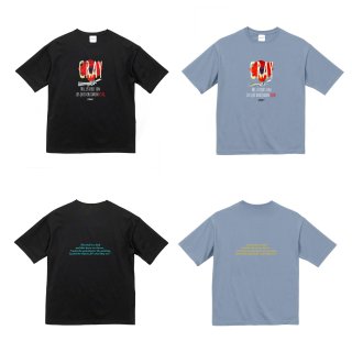 <img class='new_mark_img1' src='https://img.shop-pro.jp/img/new/icons5.gif' style='border:none;display:inline;margin:0px;padding:0px;width:auto;' />anemone BIG T-shirt