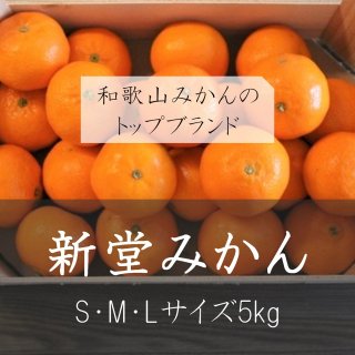 新堂みかん -S・M・Lサイズ 5kg-