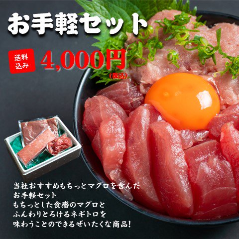 【もちっと食感！絶品マグロ】　お手軽セット(冷凍)　（もちっと赤身柵1パック（約200g）,  切り落とし1パック（100g）ネギトロ1パック（100g））送料込み4,000円 - 【新鮮直送】もちっと解凍鮪オンラインショップ｜まぐろ マグロ 絶品