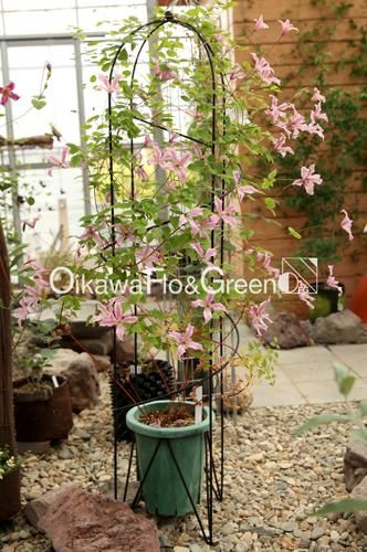 ♛° きれいなピンク色のクレマチス♡   癒しの造花アレンジメント♧ ♛° きれいなピンク色のクレマチス♡ 癒しの造花アレンジメント