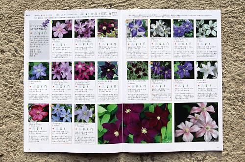 aXRlbS1jYXRhbG9ndWUxMg.jpg?