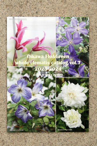 ޥ<br>Oikawa Flo&Green whole clematis catalog vol.7 2023-2024<br>ߡñʤǤΤʸξԲġ<img class='new_mark_img2' src='https://img.shop-pro.jp/img/new/icons13.gif' style='border:none;display:inline;margin:0px;padding:0px;width:auto;' />