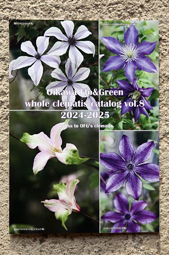 ޥ<br>Oikawa Flo&Green whole clematis catalog vol.8 2024-2025<br>ߡñʤǤΤʸξԲġ<img class='new_mark_img2' src='https://img.shop-pro.jp/img/new/icons13.gif' style='border:none;display:inline;margin:0px;padding:0px;width:auto;' />