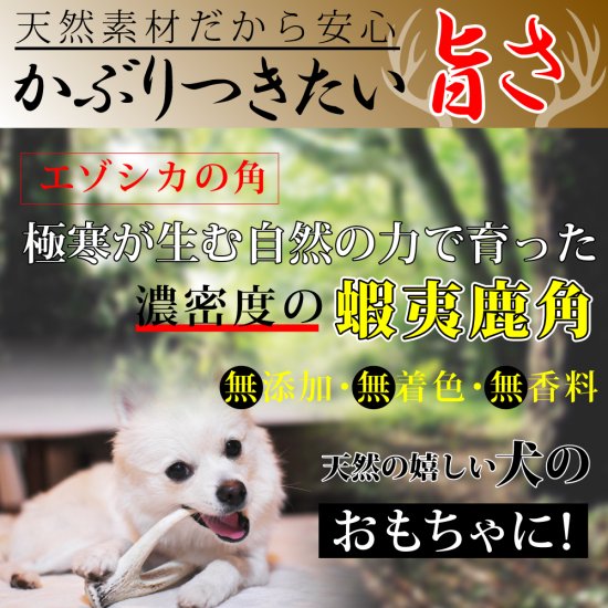 【送料無料】北海道産　鹿の角　【大型犬用】　エゾ鹿　犬のおもちゃ　大型犬　噛み癖防止 -  もふぱふぇ-可愛いペットウェア・グッズ・雑貨の通販サイト。ペット用品、犬服介護用品も
