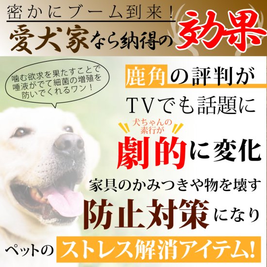 【送料無料】北海道産　鹿の角　【大型犬用】　エゾ鹿　犬のおもちゃ　大型犬　噛み癖防止 -  もふぱふぇ-可愛いペットウェア・グッズ・雑貨の通販サイト。ペット用品、犬服介護用品も