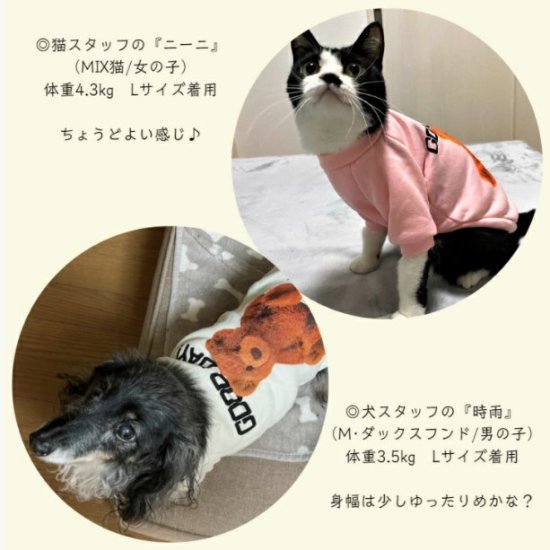 【 送料無料 】　くまちゃん　トレーナー　スウェット　犬服　ドッグウェア　ペット　猫　かわいい　おしゃれ　テディベア -  もふぱふぇ-可愛いペットウェア・グッズ・雑貨の通販サイト。ペット用品、犬服介護用品も