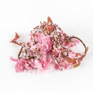 桜花の塩漬け（国産）　250g