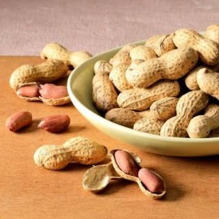 餤<br>ļ˾Ƥ<br>230