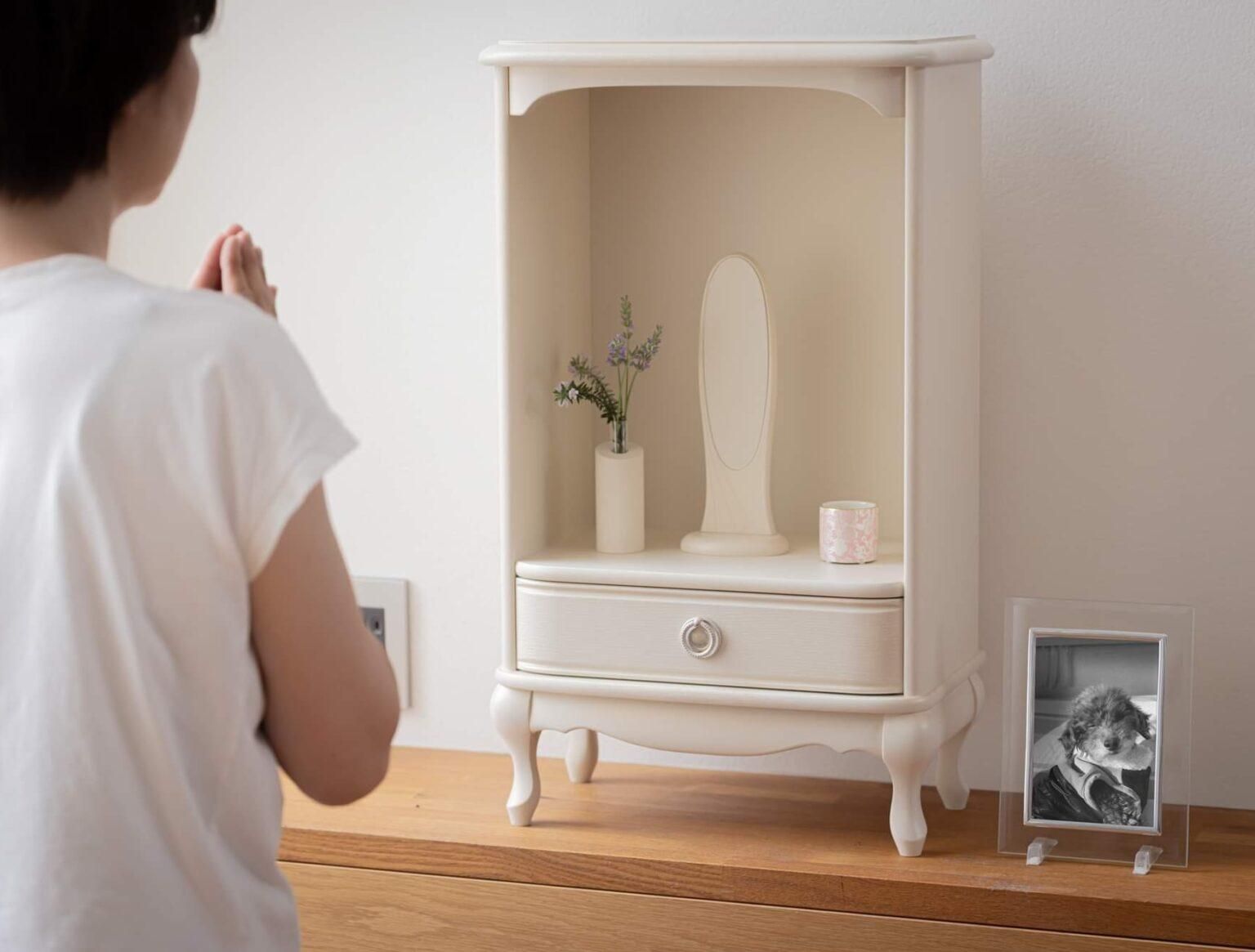 Continue 【カンティーニュ・メモリアルボックス c】（オフィシャル