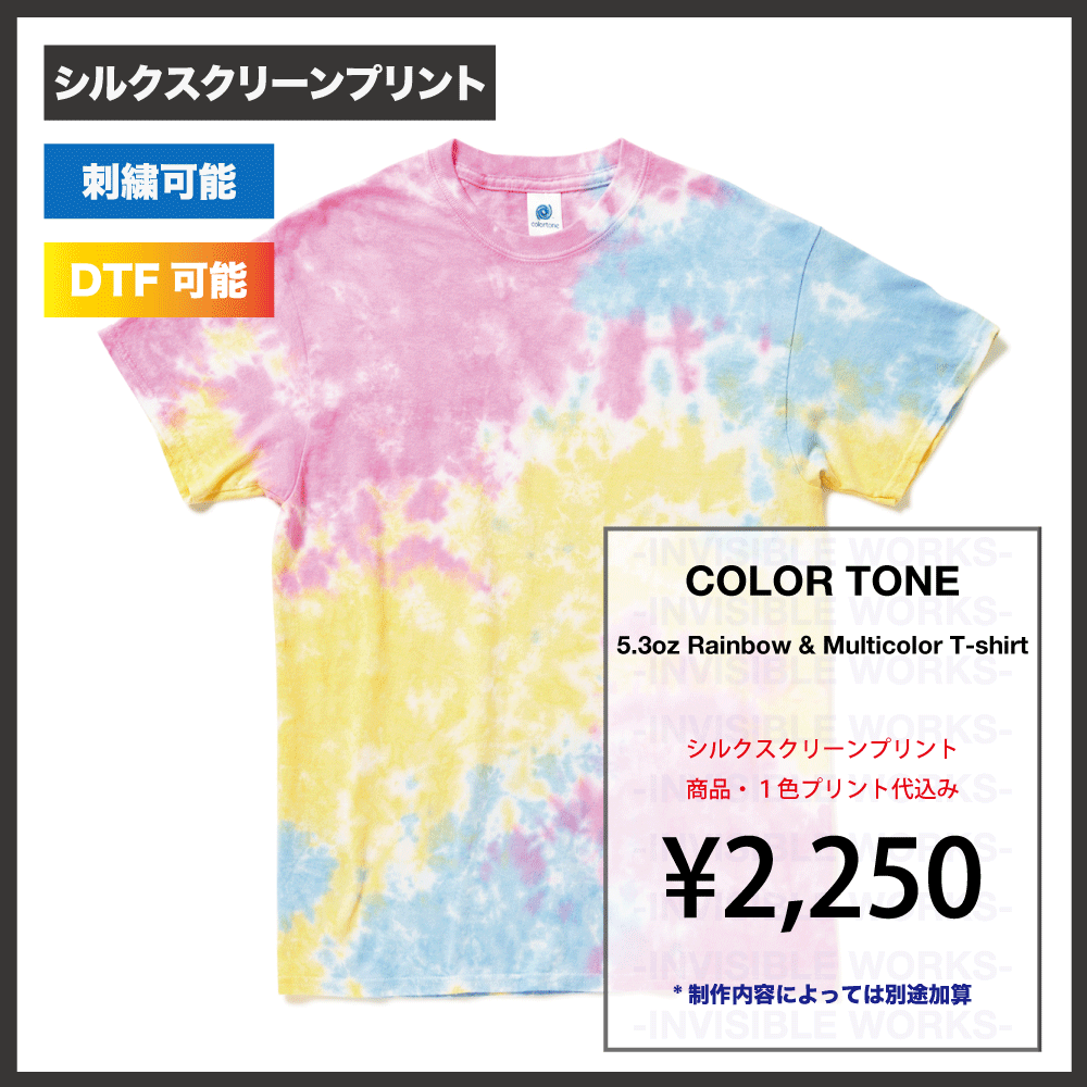 Colortone 5.3oz 쥤ܡ TEE (֡TD1000-R)